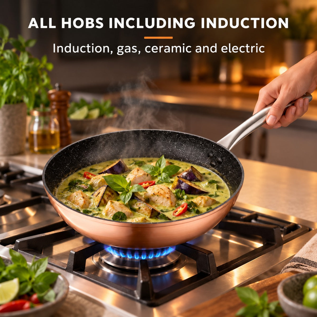 The Monska Professional Wok, ALL HOBS INCLUDING INDUCTION: Induction, gas, ceramic and electric